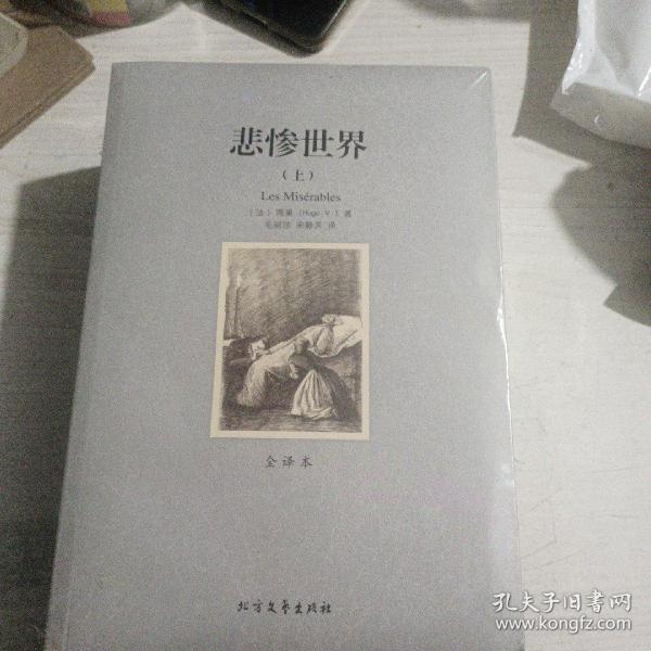 世界文学名著:悲惨世界(全译本)(套装共2册)