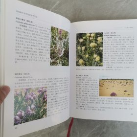 青海野生观赏地被植物图鉴（全一册精装本）〈2013年青海初版发行〉