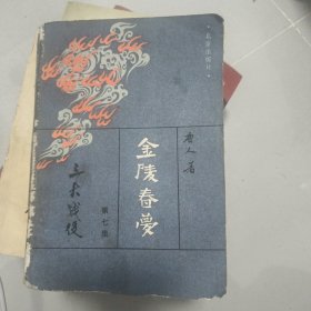 金陵春梦 第七集