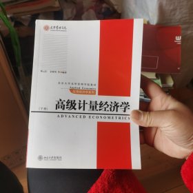 高级计量经济学（下册）