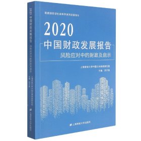 2020中国财政发展报告风险应对中的财政及启示