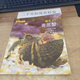 生命的故事：诞生了！寄居蟹