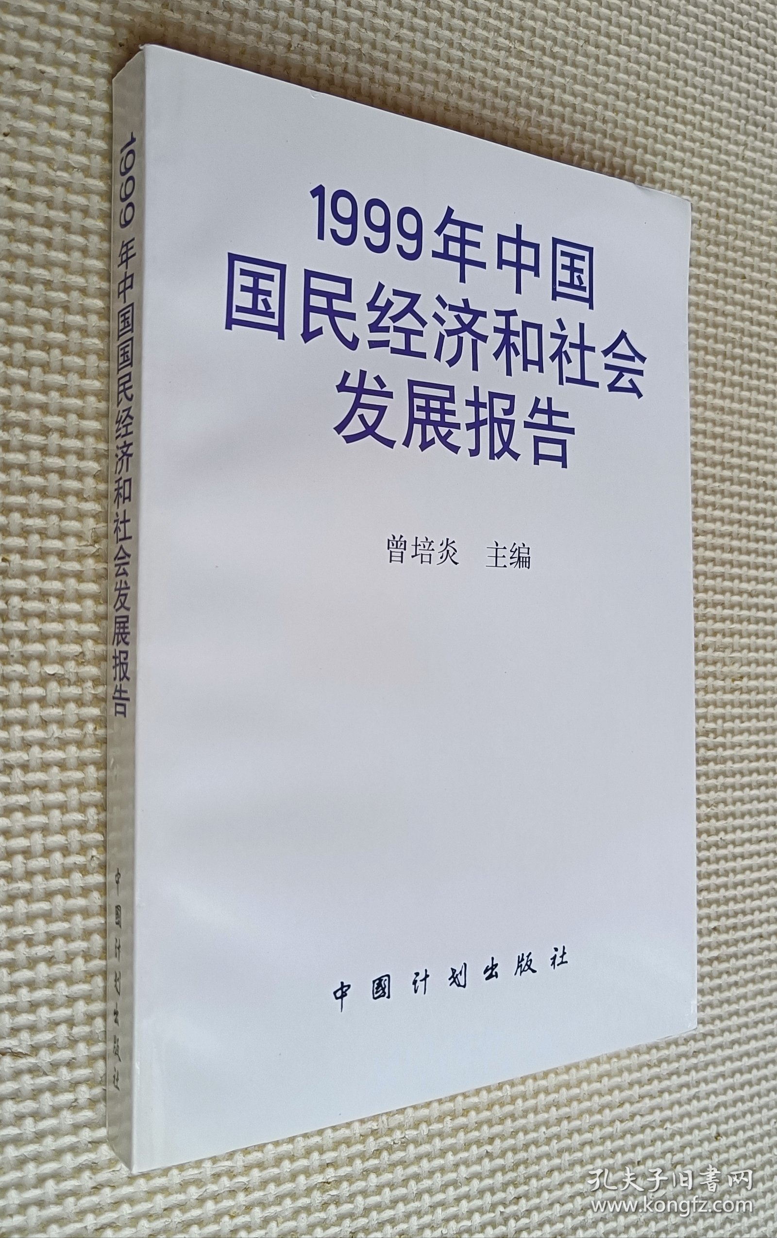 1999年中国国民经济和社会发展报告