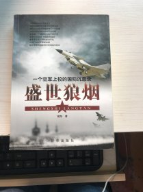 盛世狼烟：一个空军上校的国防沉思录