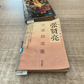 张贤亮小说自选集：作家自选集系列