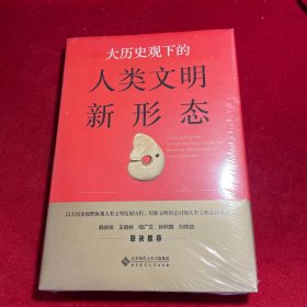大历史观下的人类文明新形态