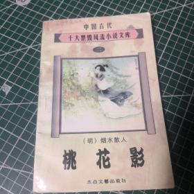 中国古代十大禁毁风流小说文库 桃花影