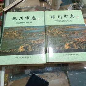 银川市志 上下