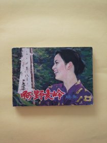 啊野麦岭（续集）