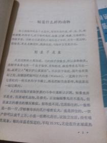 鲸与捕鲸