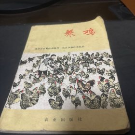 养鸡
