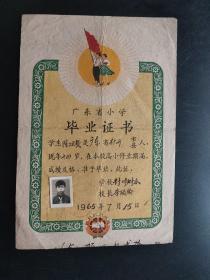 1965年广东省小学毕业证书(封开封川附小)