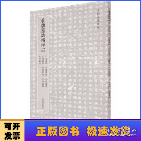 北朝墓志精粹· 北魏墓誌精粹三