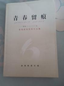 青春留痕，1993一2007淮海晚报社编