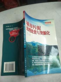 城市污泥处理处置与资源化    原版内页干净