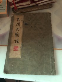 天问天对注