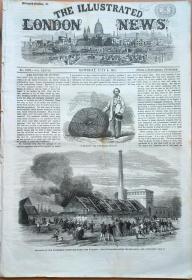 1861年英国《伦敦新闻画报》。共十二页。十分稀有！