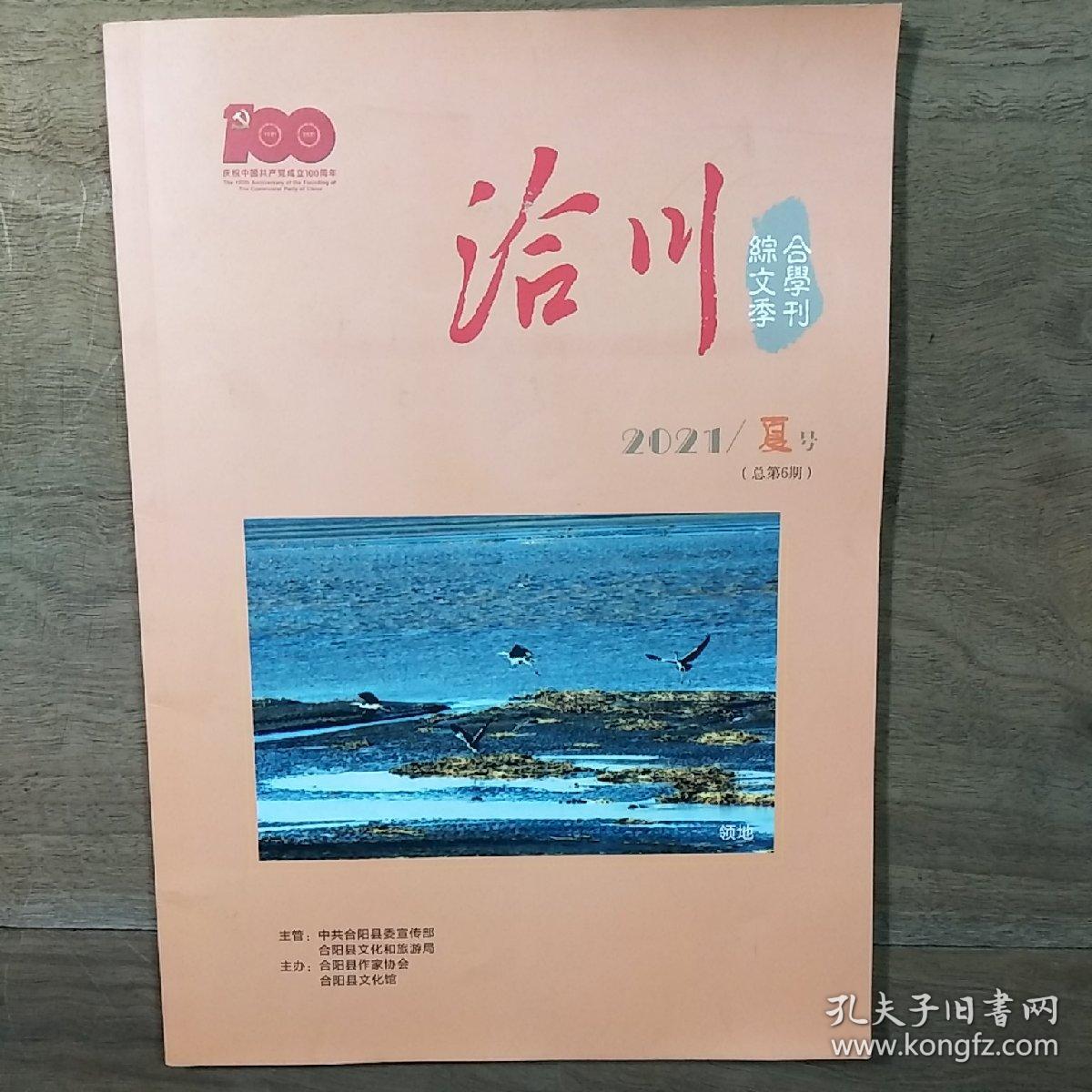 【综合文学季刊】《洽川》2021年夏号（总第6期），内容丰富，内页干净，品相好！