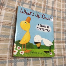 What's Up, Duck?怎么了，小鸭子？ 英文原版