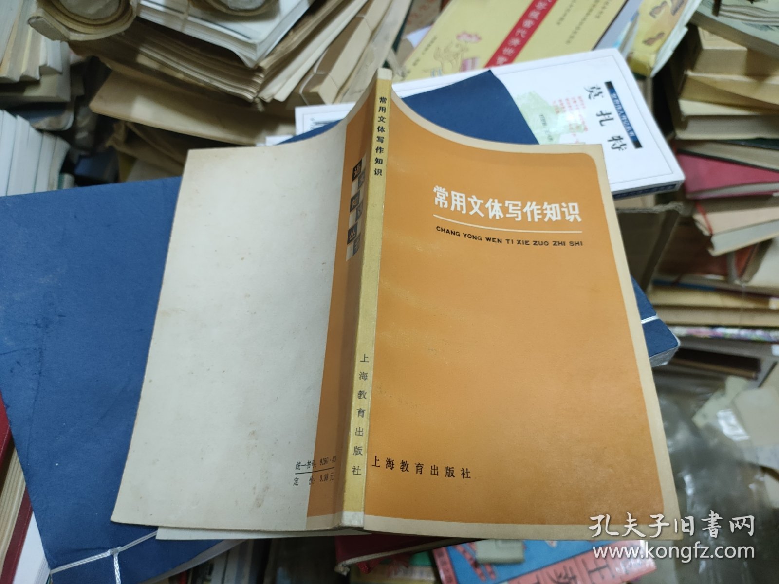 常用文体写作知识