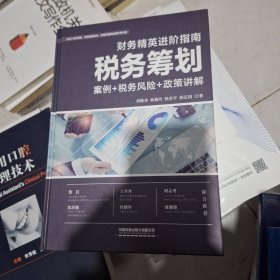 财务精英进阶指南：税务筹划（案例+税务风险+政策讲解）