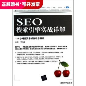 SEO搜索引擎实战详解