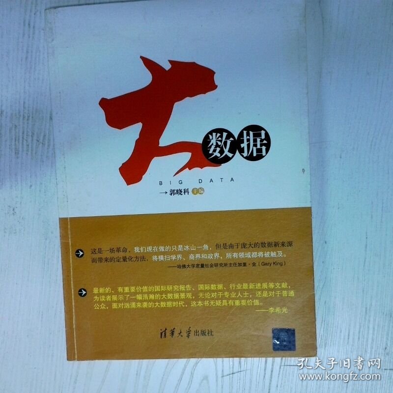 大数据 无处不在的数据你hold住吗 高温消毒发货 郭晓科编 清华大学出版社