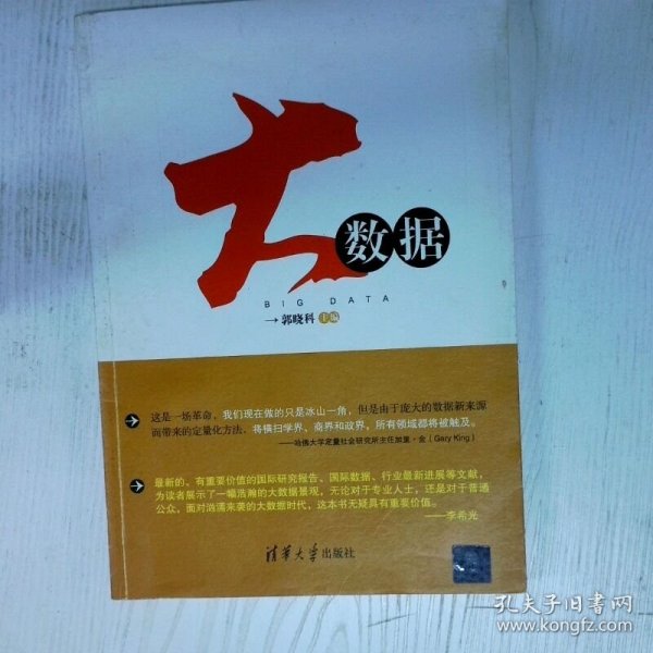 大数据 无处不在的数据你hold住吗 高温消毒发货 郭晓科编 清华大学出版社