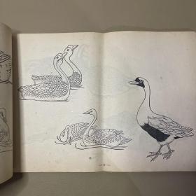 鸟谱  【中央工艺美术学院图案训练班1960年 8开本】