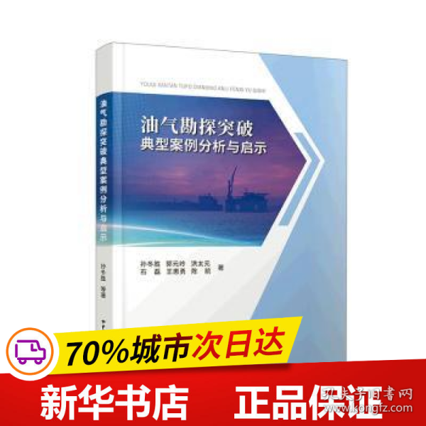 油气勘探突破典型案例分析与启示