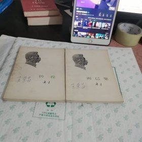 鲁迅：彷徨+而已集【2本合售】品如图