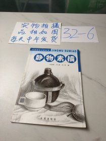 绘画提高训练丛书：静物素描