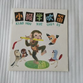 娃娃乐园：小猴学吹笛、龟兔第二次赛跑、新谜语、狐狸的诡计、拔萝卜、两只小白鸟