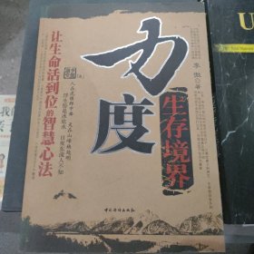 力度生存境界：让生命活到位的智慧心法