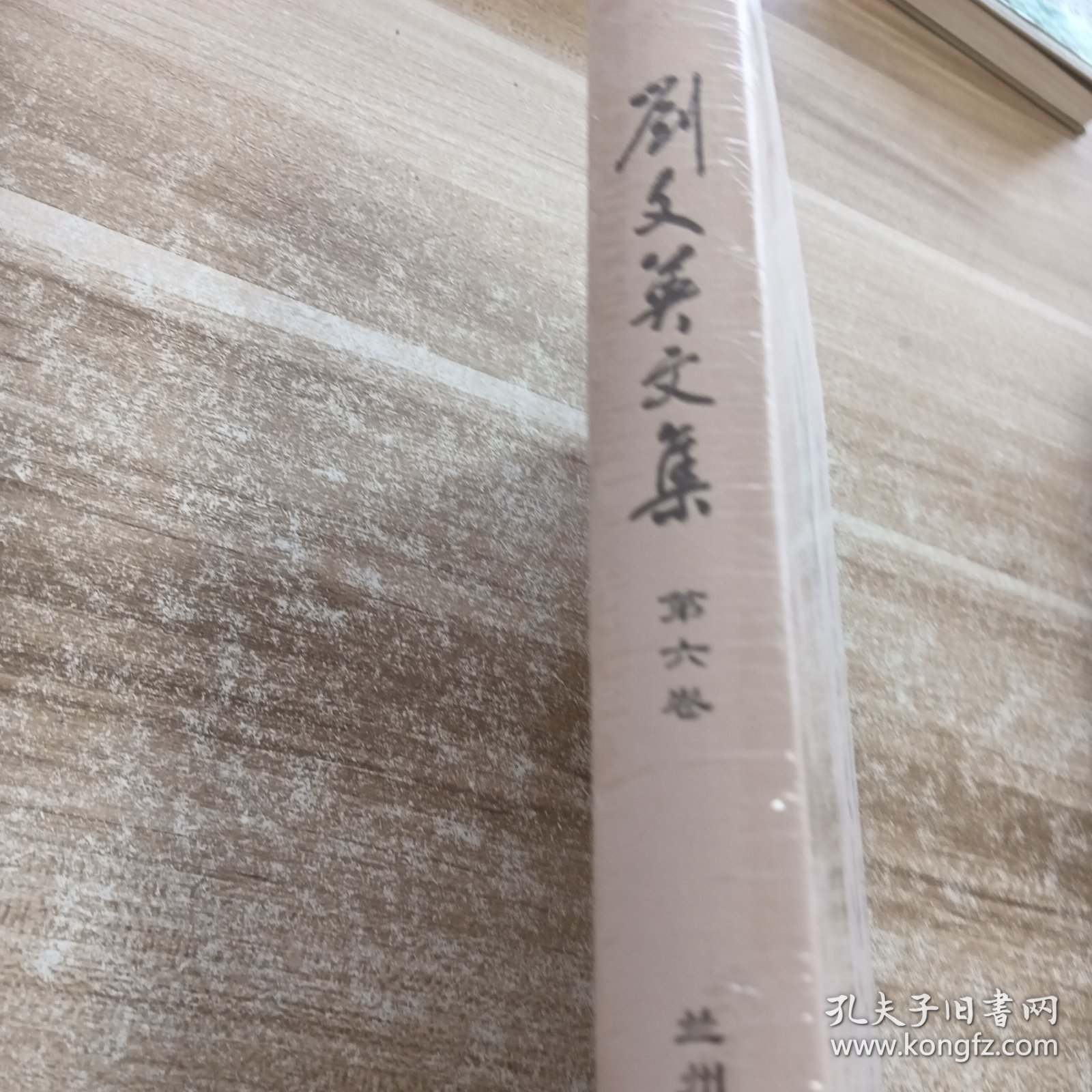 刘文英文集第六卷