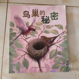 鸟巢的秘密