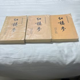 红楼梦（上中下）