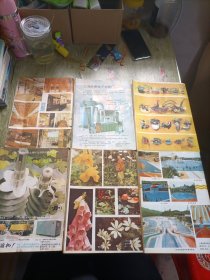 科学画报1987年1-12（全12册）