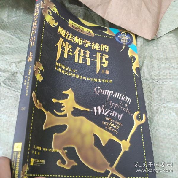 魔法师学徒的伴侣书：如何施展法术？从蓝魔法到黑魔法的16堂魔法实践课