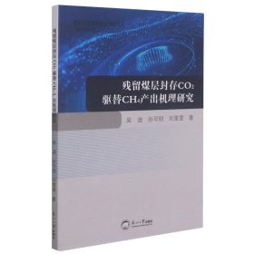 残留煤层封存CO2驱替CH4产出机理研究