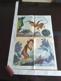 小学生教学老挂图 小学课本语文第二册教学图片 10（4）小猴子下山（二）