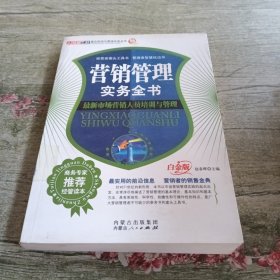 网络营销实务全书：突破传统营销平台的全新模式