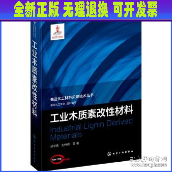 先进化工材料关键技术丛书--工业木质素改性材料