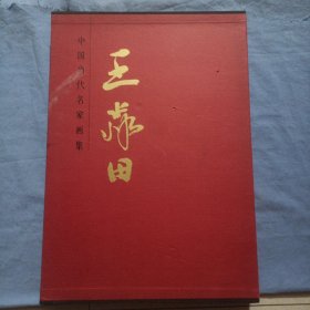 王淼田——中国当代名家画集（8开精装本 品好）