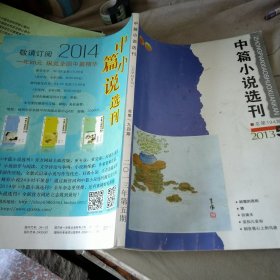 中篇小说选刊2013/5