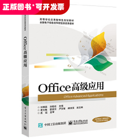 Office高级应用