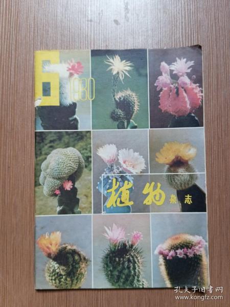 植物杂志1980.6