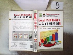 Excel 2003~2010 数据透视表从入门到精通 第2版