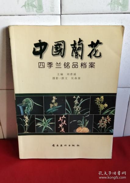 中国兰花 四季兰铭品档案