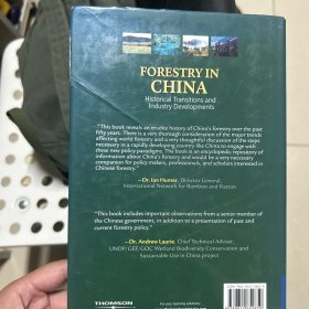 Forestry in china